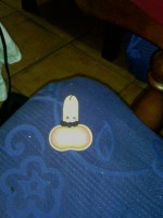 PENES BROCHE